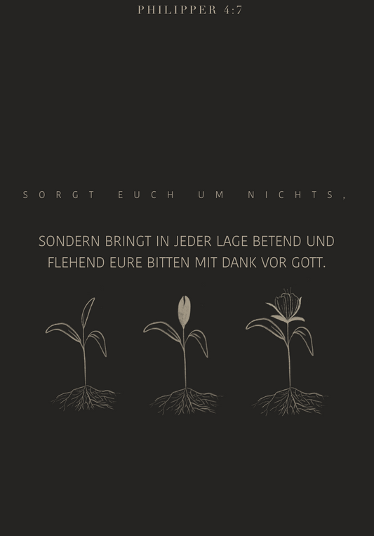 Sorgt euch um nichts A6 Postkarte